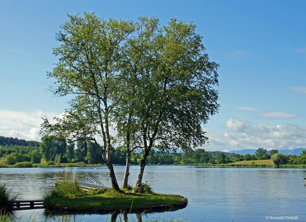 Bergblick Leilighet Weilheim in Oberbayern Eksteriør bilde